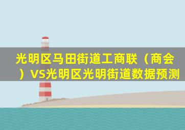 光明区马田街道工商联（商会）VS光明区光明街道数据预测