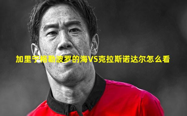 加里宁格勒波罗的海VS克拉斯诺达尔怎么看