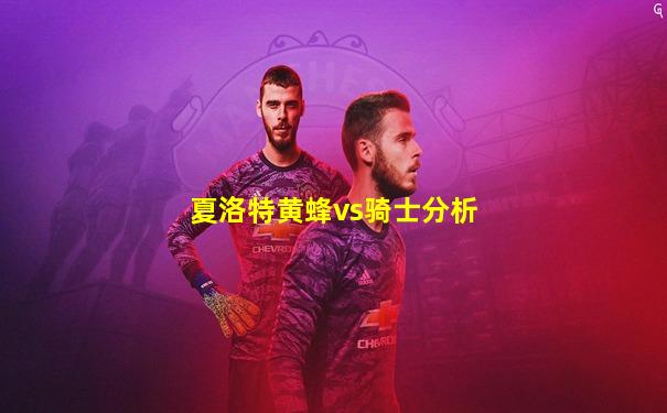 夏洛特黄蜂vs骑士分析
