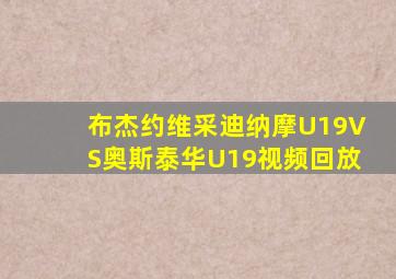 布杰约维采迪纳摩U19VS奥斯泰华U19视频回放