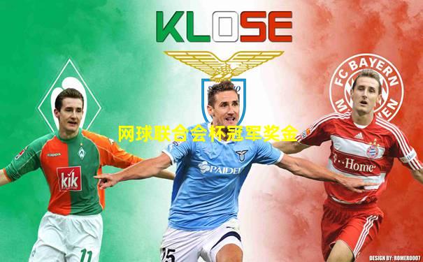 网球联合会杯冠军奖金