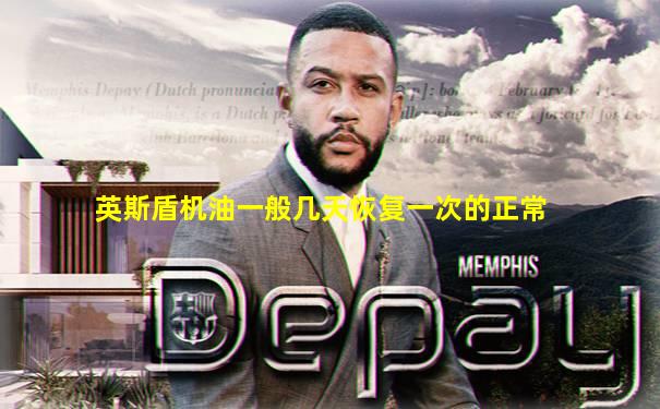 英斯盾机油一般几天恢复一次的正常