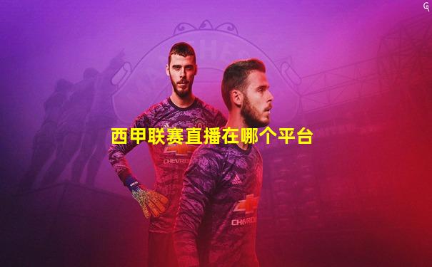 西甲联赛直播在哪个平台