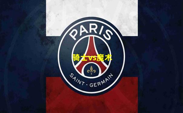 骑士vs魔术